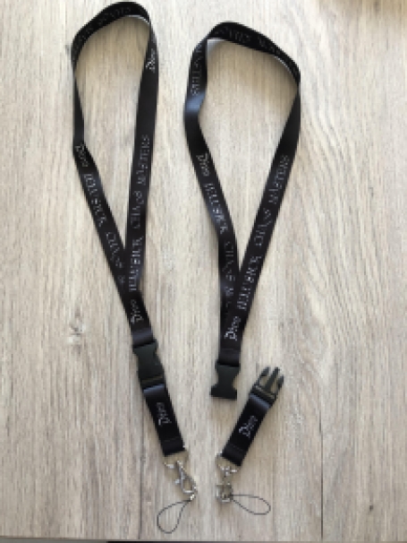 Lanyard Dino Chaos Masters